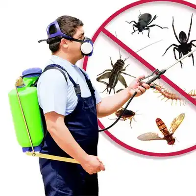pest control Hodge